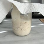 Gluten Free Sourdough Starter