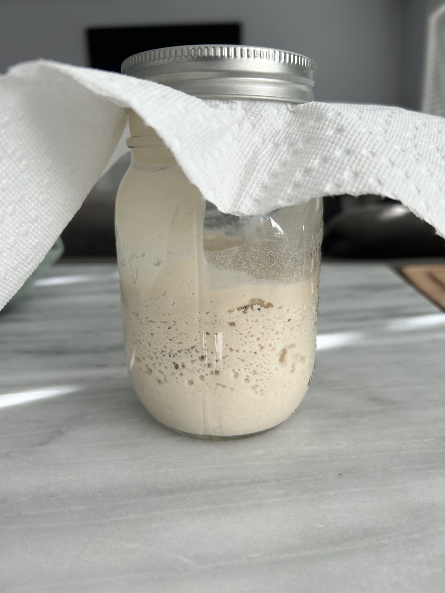 Gluten Free Sourdough Starter - Laura Bakes Gluten Free Recipe