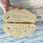 Gluten Free Sourdough Starter