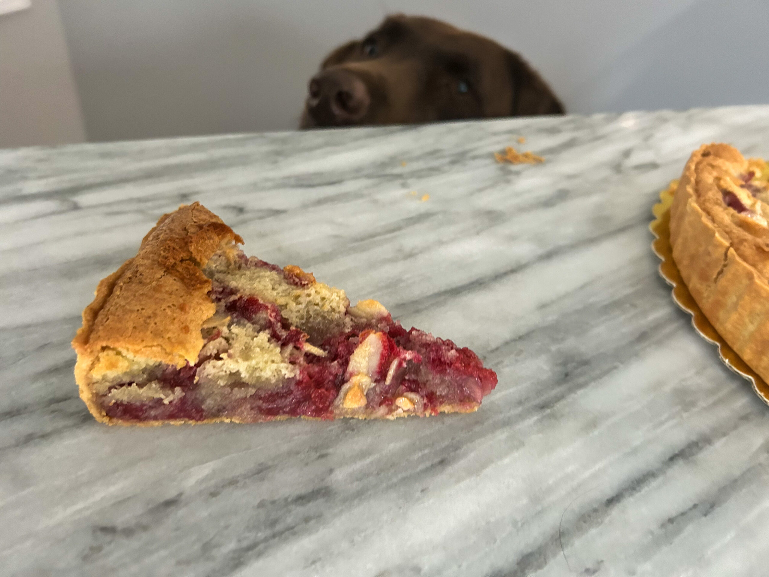 Gluten Free Raspberry Frangipane Tart
